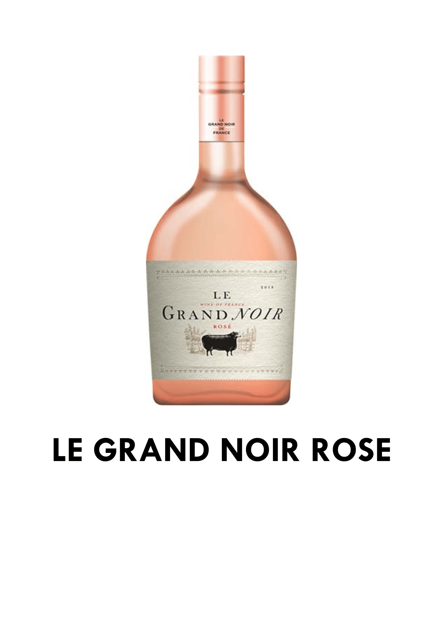 Le Grand Noir Rose (1)