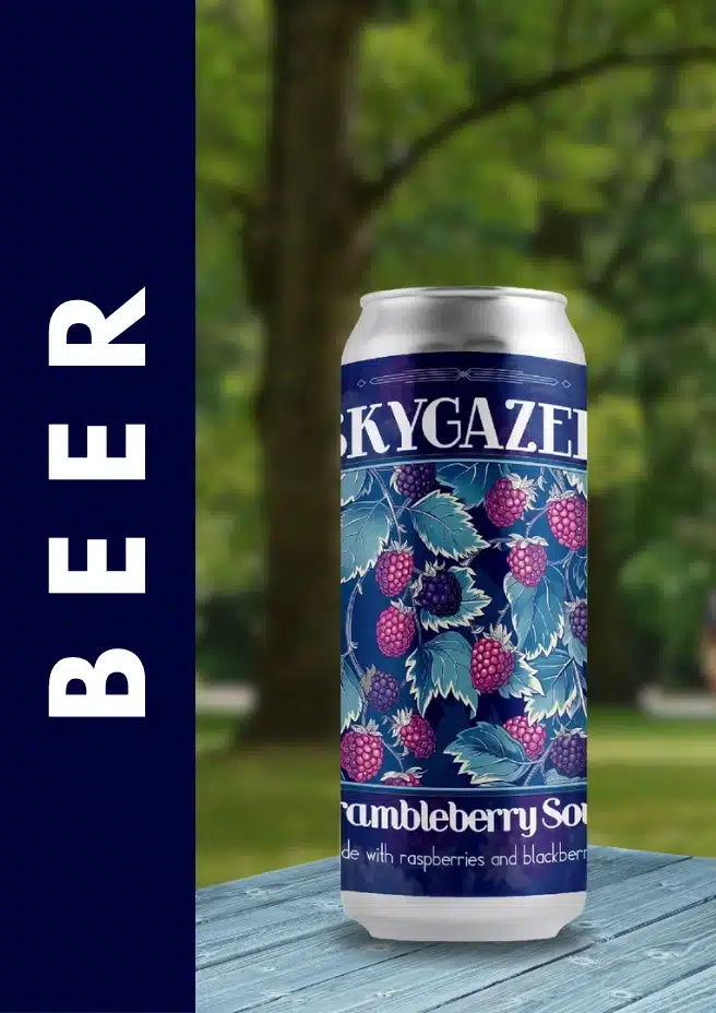 SKYGAZER CRUSHER BRAMBLEBERRY SOUR 4PK
